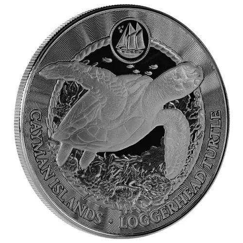 2025 1 oz Loggerhead Turtle - Cayman Islands Silver Coin (3)
