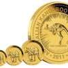 Australian Kangaroo Gold Coins - various sizes